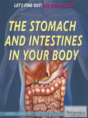 cover image of The Stomach and Intestines in Your Body